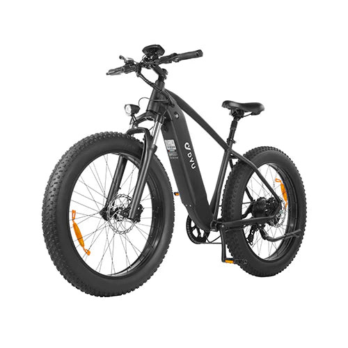 DYU King 750 – Bild 2