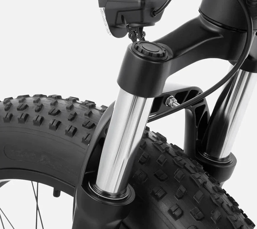 DYU King 750 – Bild 10
