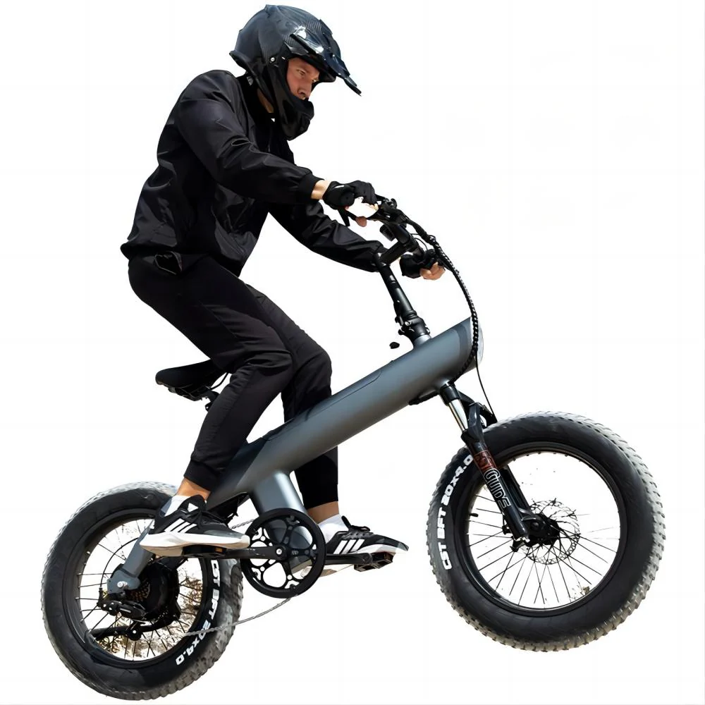 Evoglide Q3 Plus – Bild 3